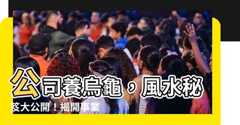 增加業績的風水|【業績飆升秘笈】揭開事業成功的開運祕技